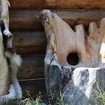 Engholm Husky Design *