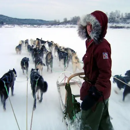 Деревянный коттедж Engholm Husky Design *
