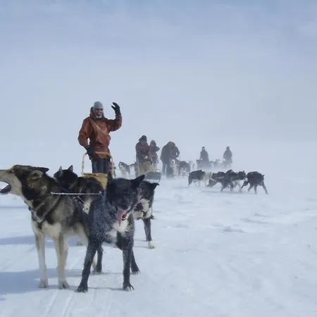 Деревянный коттедж Engholm Husky Design