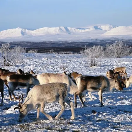 Engholm Husky Design Lodge *