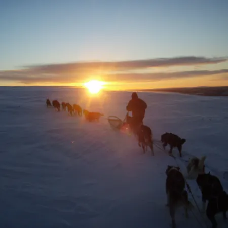 Engholm Husky Design