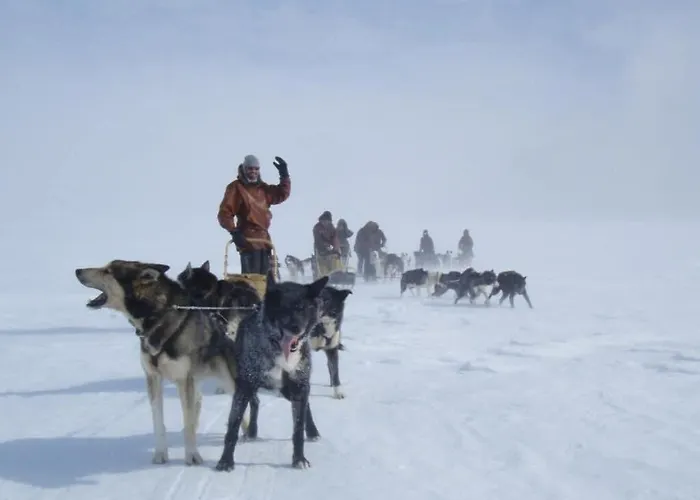 Engholm Husky Design Karasjok