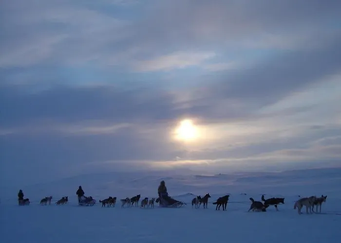 Engholm Husky Design Lodge Karasjok